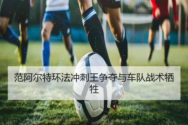 范阿尔特环法冲刺王争夺与车队战术牺牲